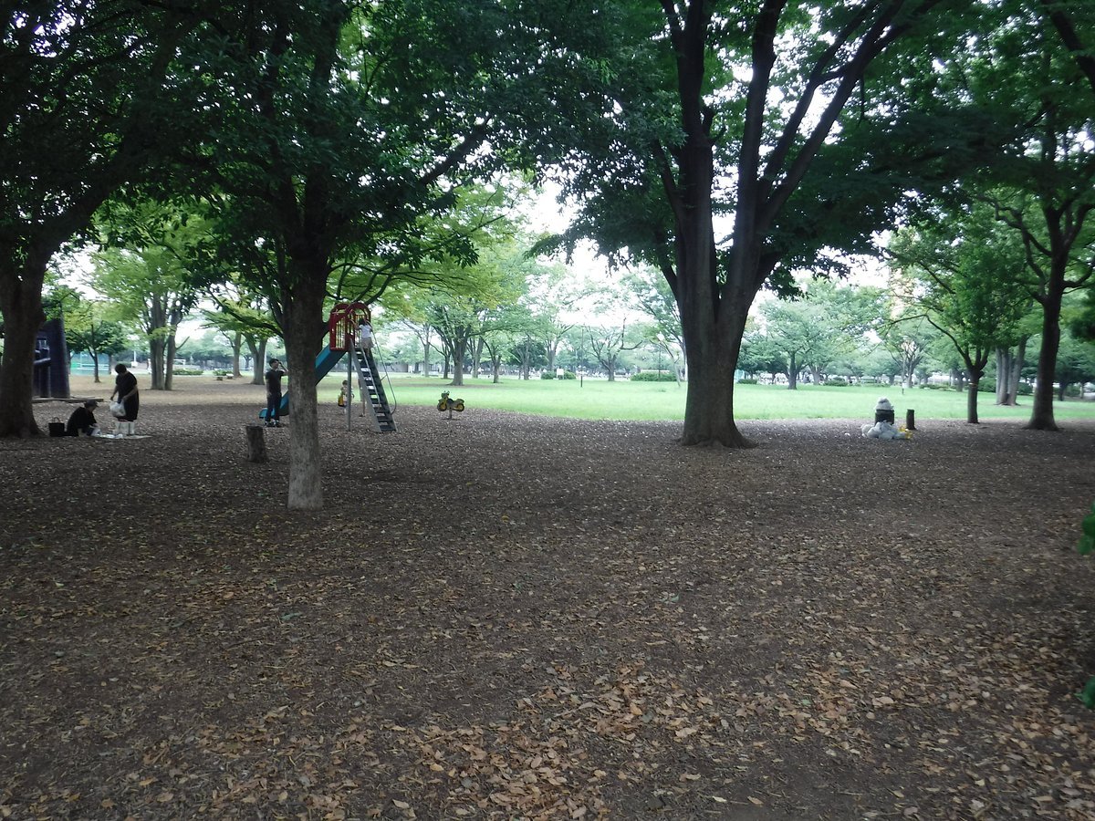 🌳 신코이와 공원 (신코이와 코엔) 이미지 6